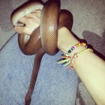 Frances Heller - @tightliency - Instagram