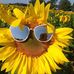 Frances Helton - Facebook