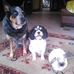 Fran Hennessy Mcintyre - Facebook
