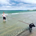 Frances Hess - @franceshess811 - Instagram