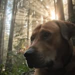 Francis Hess - @sv_tolovana - Instagram