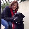 Frances Hewitt - @franceshewitt1 - TikTok