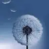 Francis Hidalgo - @francee.28 - TikTok