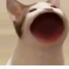 Frances.Hines - @franceshinesnskhios - TikTok