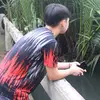 francesshitt - @francesshitt - TikTok