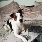 Francis Hocking - Facebook