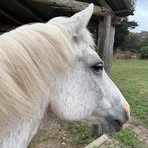 Frankie Hocking - Facebook