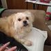 Frances Holcomb - Facebook
