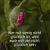 Frances Fernholz - @frances.fernholz - TikTok