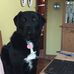 Frances Hopper - Facebook