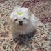 Frances Hopper - Facebook