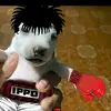 Frances.Horton - @alnilxdky6c - TikTok