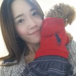 Frances House💖🐩💖 - @frances_house_pets - Instagram