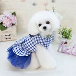 FrancesHouse - @franceshouse_pets - Instagram