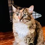 Frances Howell - @fjhowell1000 - Instagram