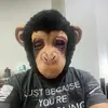 Francis hummel - @hooyahooya4 - TikTok