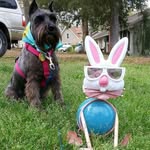 Frances Hunter - @frances.hunter.9843 - Instagram
