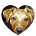 Frances Hurd - Facebook