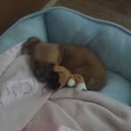 Frances Hurst - Facebook