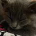 Frances Irving - Facebook