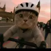 john - @johnfrances.arriola1 - TikTok