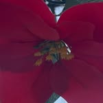 francis kaiser - @02kaiser - Instagram