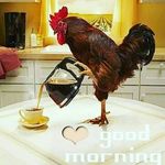 Francis Kaiser - @franciskaiser81 - Instagram