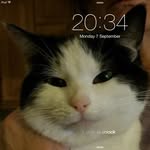 Frances Kelly - @frances.kelly.50 - Instagram