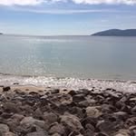 Frances Kelly - @franceskelly1971 - Instagram