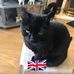 Frances Kelly - Facebook