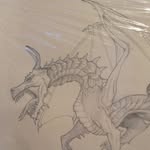 Frances Kidd - @f.kidd66 - Instagram
