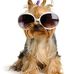 Frances Koehler - Facebook