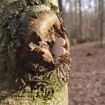 Francesko Kummer - @franceskokummer - Instagram