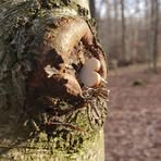 Francesko Kummer - Facebook