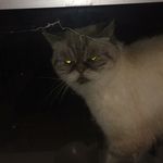 Frances laird - @francjean123 - Instagram