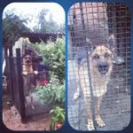 Frances Lancaster - @funkholmak - Instagram