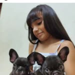 🅛🅘🅐 & 🅛🅐🅝🅒🅔🅛🅞🅣 - @lia_lancelot_bulldog_frances_ - Instagram