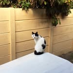 Frances Landsberg - @frances_landsberg - Instagram