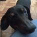 Frances Landreth - Facebook