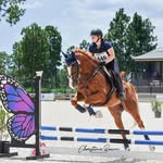 Anna Frances Lanier - @annafranceslanier - Instagram