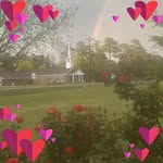 Frances Lanier - @lanierfp2000 - Instagram