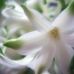 Francis Lemke - Facebook
