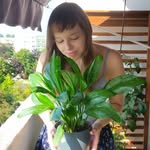Francis Lenz - @francislenz - Instagram