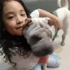 Frances levi - @franceslevi - TikTok
