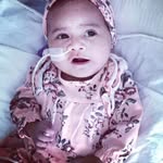 Frances Lewer - @lewerfrances - Instagram