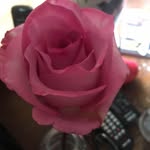 Frances Lightsy - @francesl56 - Instagram