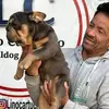 bulldog francés lino cartucho - @bulldog.francs.li - TikTok