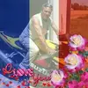 Lino Francese O PAZZO - @lino.francese - TikTok