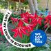 Frances Lloyd - Facebook