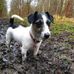 Frances Lloyd - Facebook
